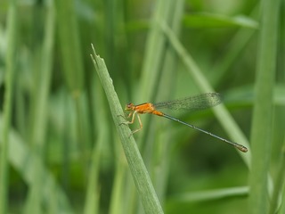 PA030595