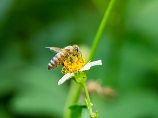 P9280278