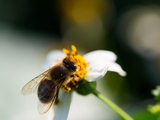 PB010528