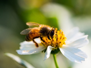 PB010534