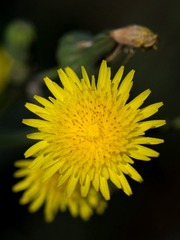 P1030280_