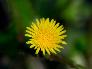 P1030282