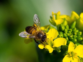 P1060801