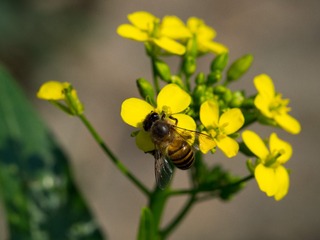 P1060804