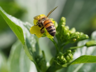 P1080907