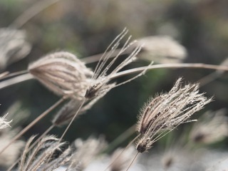 P1090358