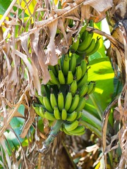 P1160446