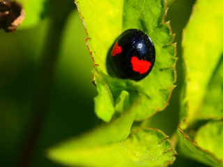 P1190129