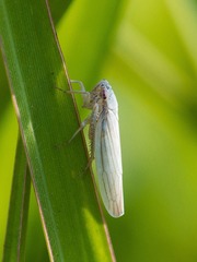 P1230155
