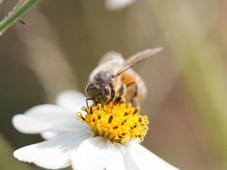 P1230149