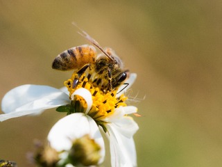 P1230153