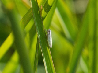 P1230155
