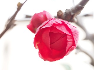 P2060742