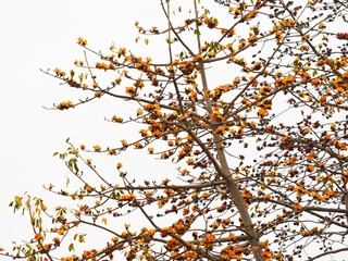 P3080817