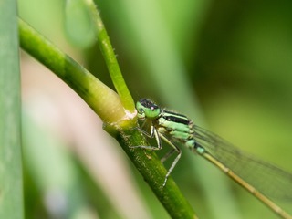PA02008888