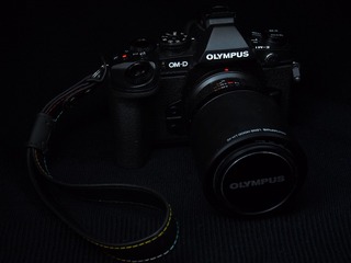 P3170002