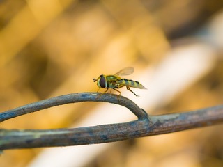 P3220282