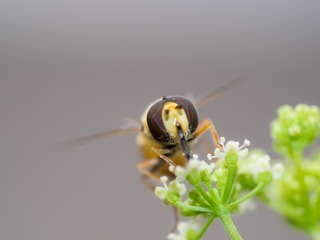 P3270048
