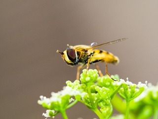 P3270051