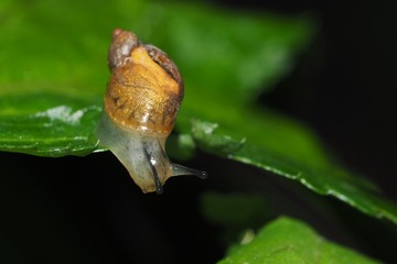 P5050394_