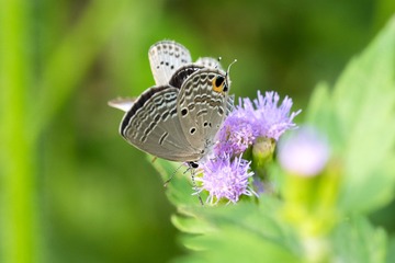P5270306_