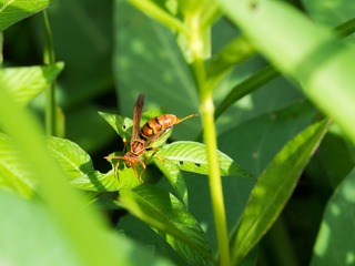 P7190013