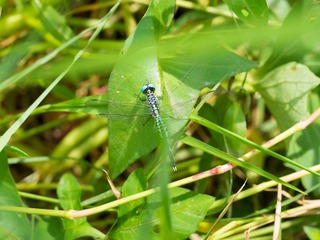 P7240531