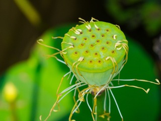 P7280050