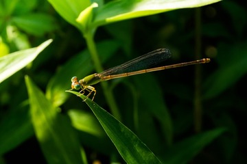 P8070132_