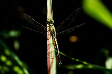 P8070151_