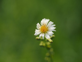 P9190016