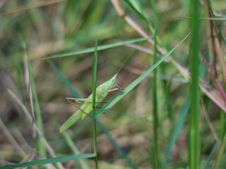 P9190007