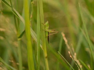 P9200705_