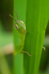 P9200688_