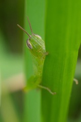P9200688_