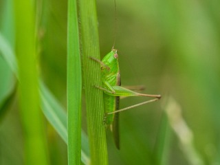 P9200708
