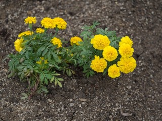 PB030275