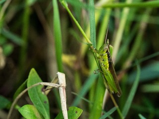 PB050078