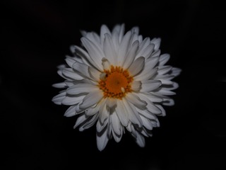 PB160110-2