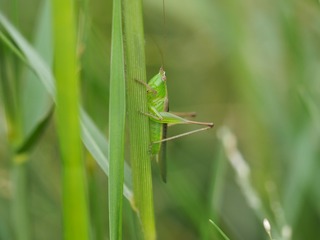 P9200706