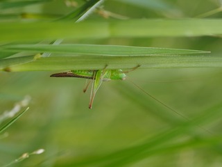 P9200714