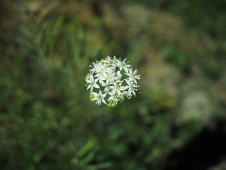 20151118-PB180027
