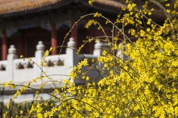 风停了又吹