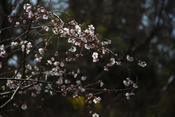 路