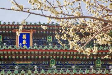 青海湖北侧远眺