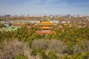 菩提
