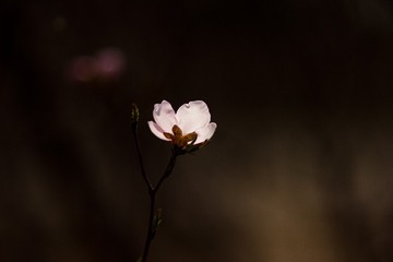 20150329-IMG_2158