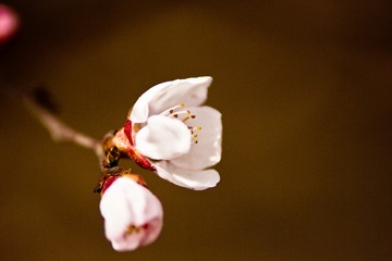 20150329-IMG_2171