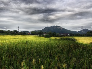 _DSC6202
