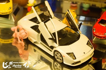 DSC_6518_缩小大小